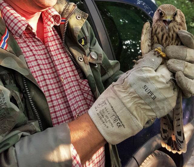 Das gefällt ihm gar nicht