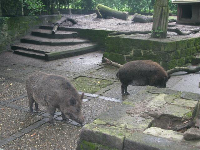 Tierpark im Kaisergarten Oberhausen