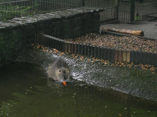 Tierpark im Kaisergarten Oberhausen