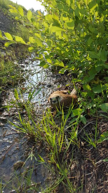 Ich hol dich da raus