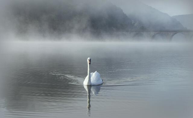 Schwam im Diemelsee