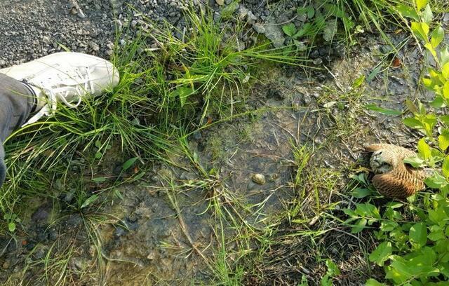 Nur ein Schritt noch...