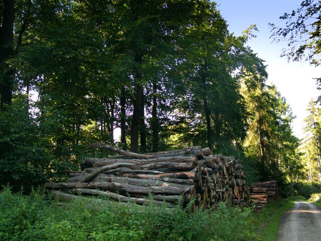 Deister - das Naherholungsgebiet der Hannoveraner