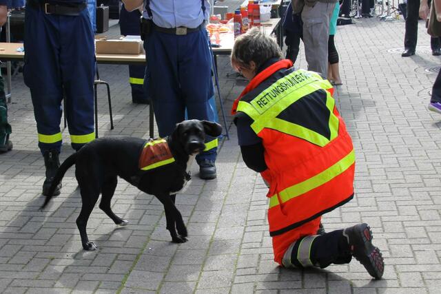 Rettungshund „Flocke“ demonstrierte eine Personensuche.
