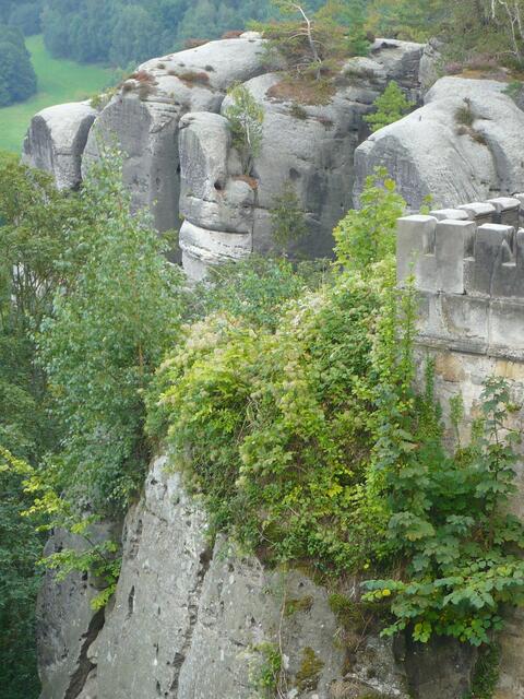 Paradies, böhmische Version