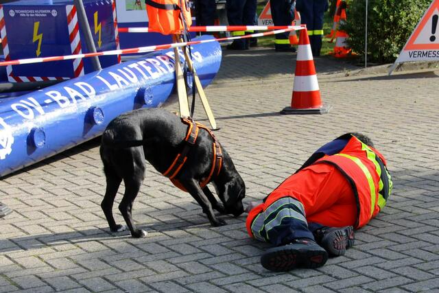Rettungshund „Flocke“ demonstrierte eine Personensuche.