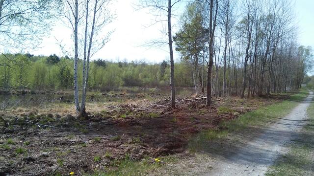 Altwarmbüchener Moor - Wiedervernässung an der Deponie