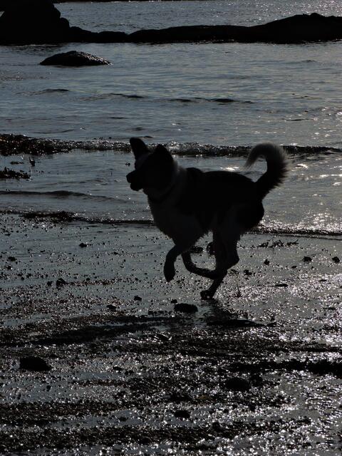 Gasgeben am Strand !