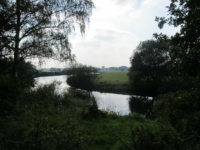 Leine vor Bordenau - Abkürzung Richtung Liethe, Wunstorf