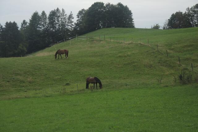...Natur...