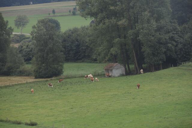 ...Natur...
