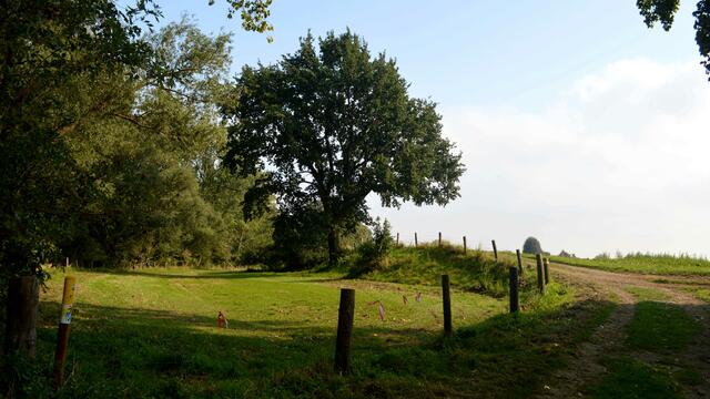 Der Weg führt auf zum Kleinen Mühlenberg 69 Meter ü.N.N.