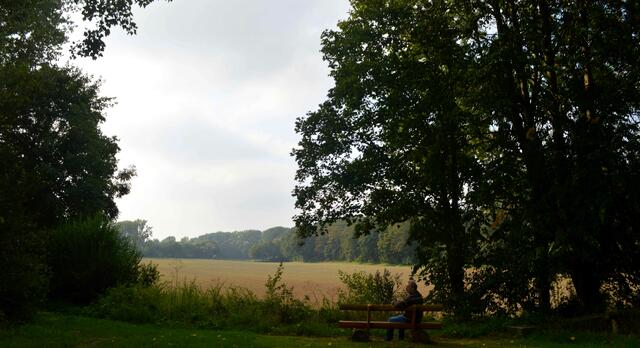 Blick von der Bank über  den ehemaligen Großen Mühlenteich nach Pattensen.