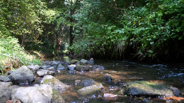 Bei Niedrigwasser kann man vor dem Klärwerk sogar trockenen Fußes über den Bach.