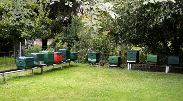 Das Bienenvolk steht hier wo einst eine Bockwindmühle stand