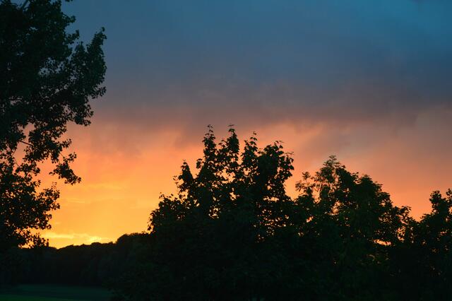 Wenn im Herbst am Fuchsbach die Sonne unter geht.