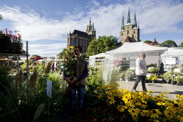 Cerealienmarkt - Erfurter Stauden- und Gartenmarkt |  Christine Noa-Heyer von der Gärtnerei Jens Heyer aus Aschera | Foto: SCHWARZE-art-PHOTOGRAPHIE