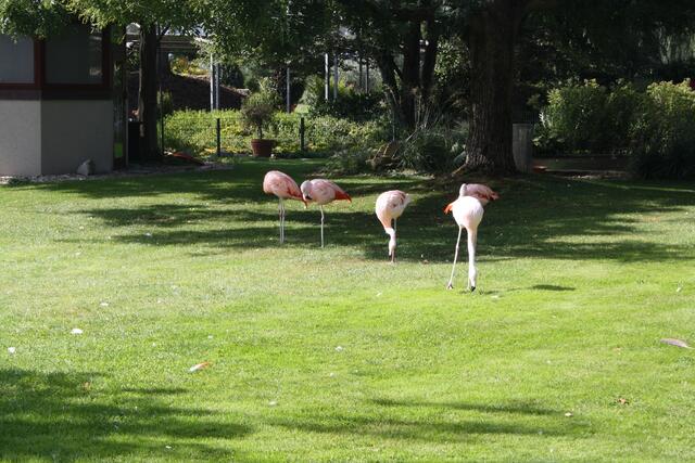 ...Dehner Blumenpark Rain am Lech...