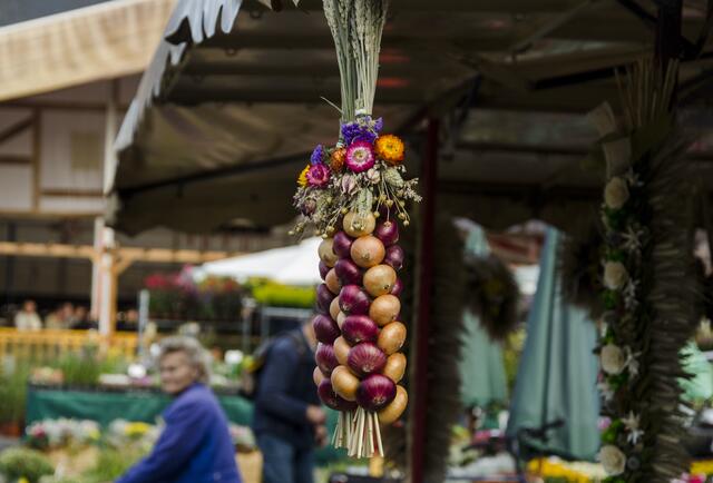 Cerealienmarkt - Erfurter Stauden- und Gartenmarkt | Foto: SCHWARZE-art-PHOTOGRAPHIE