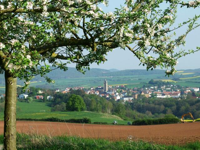 Bad Wildungen im Frühjahr
