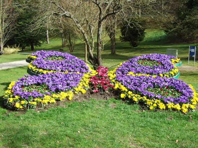 Schmetterling im Kurpark von Bad Wildungen