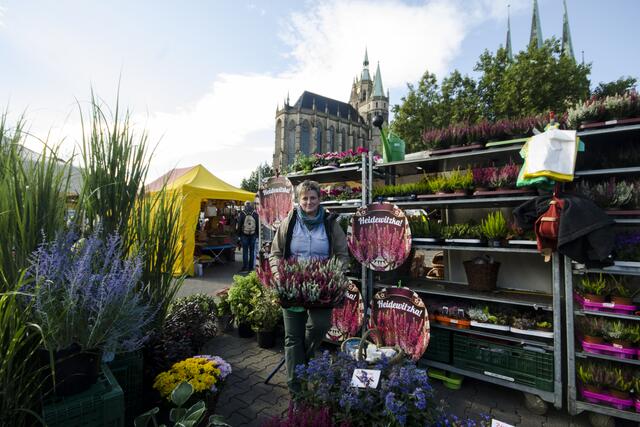 Cerealienmarkt - Erfurter Stauden- und Gartenmarkt | Anja Mackrodt // Blumen und Fachmarkt aus dem Kyffhäuserkreis | Foto: SCHWARZE-art-PHOTOGRAPHIE