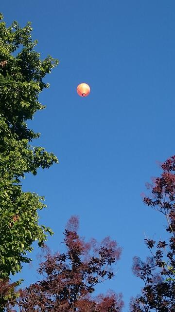 Auf der Terrasse