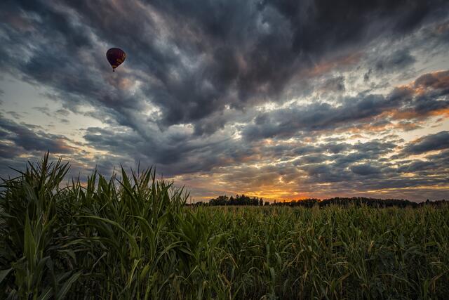 Sonnenuntergang in der Heimat