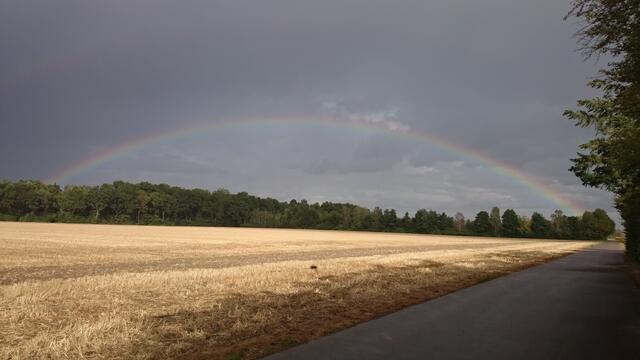 Regenbogen vor Dillingen