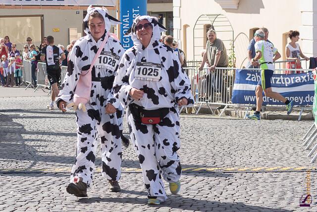 Friedberger Halbmarathon 2015