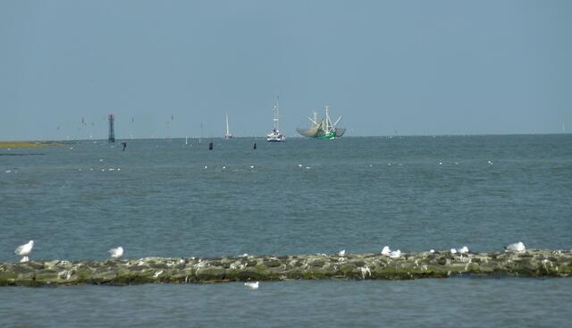 Krabbenkutter in Burhave