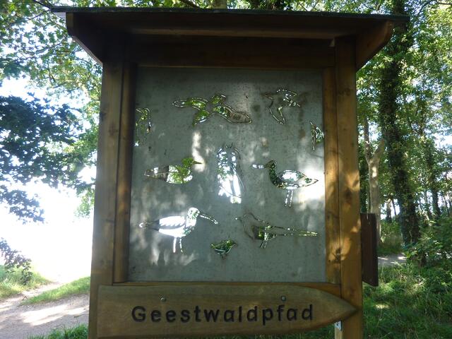 Geestwaldpfad in Dangast: Die Vogelabbildungen sind ganz filigran in das Metall eingearbeitet worden. Man kann durch sie hindurch in den Wald sehen.