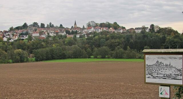 Der 'Dilich-Blick' auf Homberg.