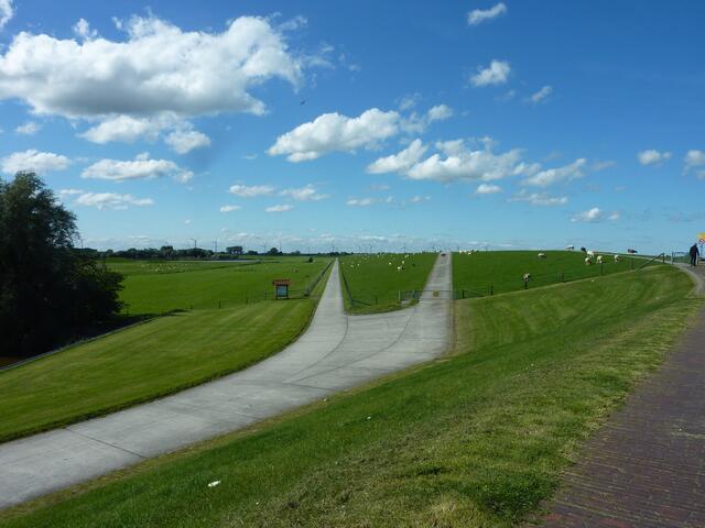 Deichlandschaft in Dangast