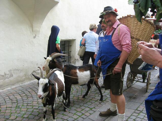 Der Ziegenpeter war auch da...