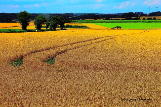 Landschaft bei Lüneburg