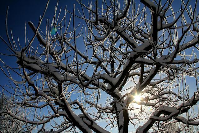Wintersonne