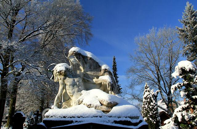 Winter