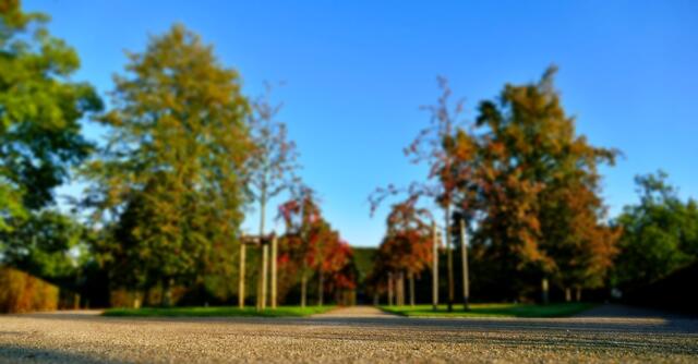 Morgens im Park
