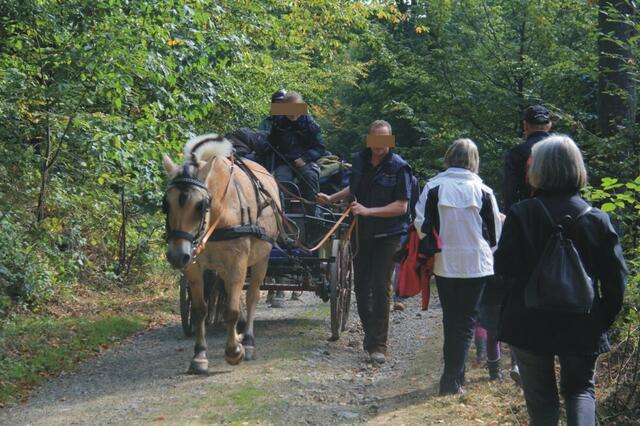 mit der Kutsche von Caldern auf den Rimberg