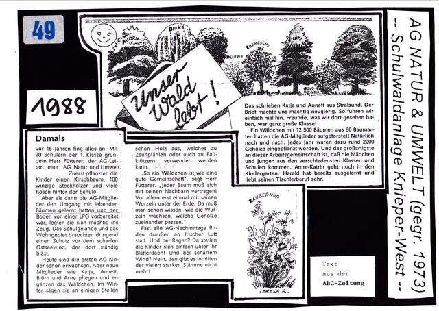 MEINE SCHULE, Ausgabe 08 zum 1. Januar 1995, Seite 49