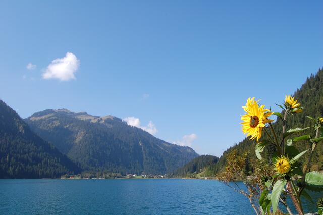 Am Haldensee