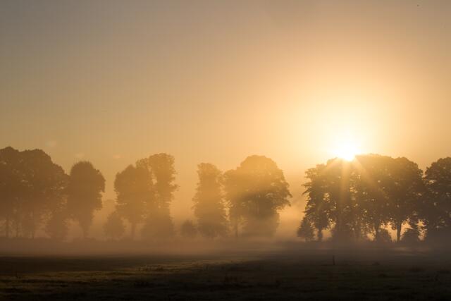 Die Sonne strahlt durch den Morgennebel