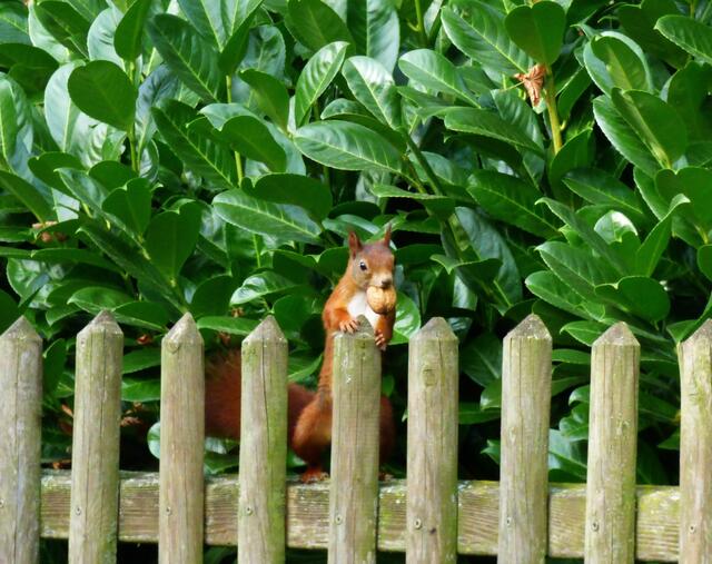 ..............dann würde ich Dir aber was erzählen!!!!!!
