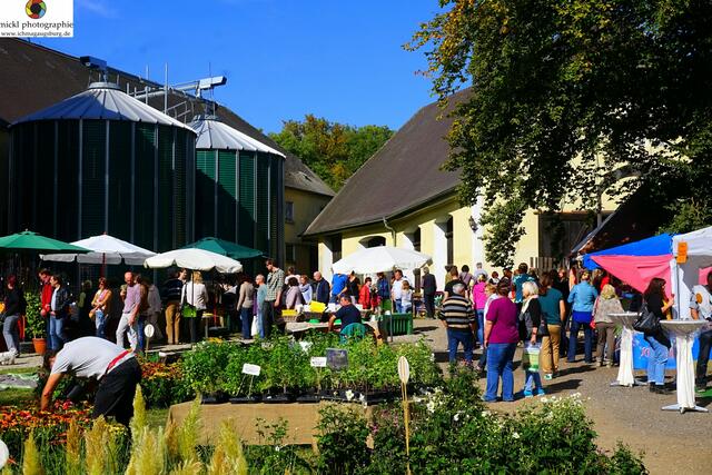 Foto: Michael Ortner - Mickl-Photographie - www.ichmagaugsburg.de