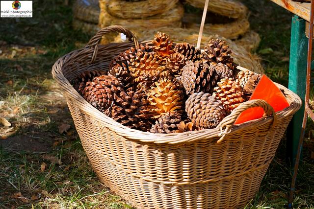 Foto: Michael Ortner - Mickl-Photographie - www.ichmagaugsburg.de