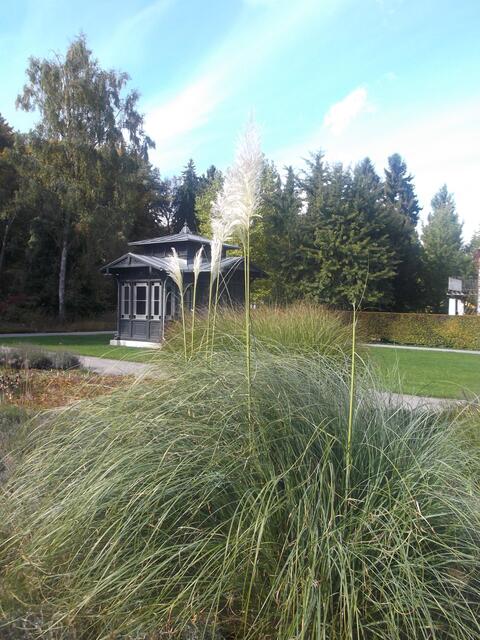 myheimat Botanischer Garten
