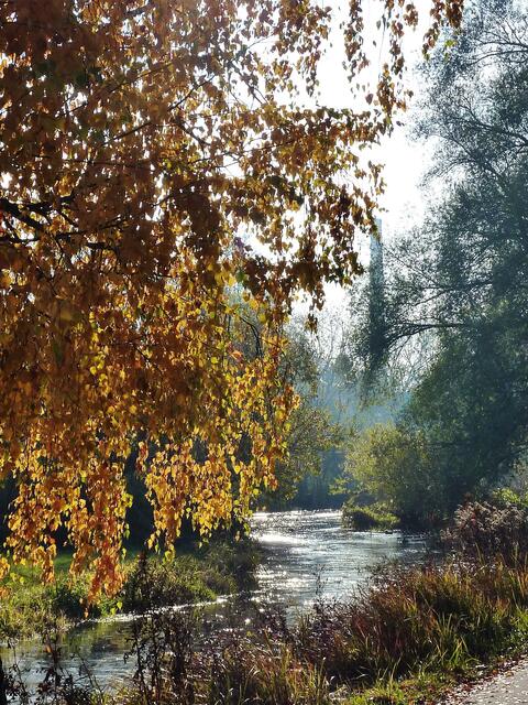 "myheimat Bildband" Romantischer Flusslauf im Bobinger Singoldpark