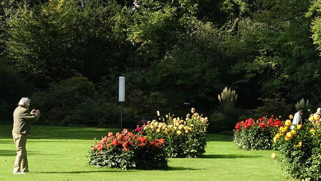 Dahlienpracht im Kurpark. Foto: Helmut Kuzina