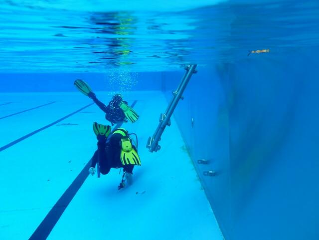 .... der vierte Mann über Wasser zieht die Badeleiter an „Land“. - Die Unterwassermonteure machen sich auf den Weg zum Tisch mit den belegten Brötchen und Getränken vor dem Taucherschuppen.